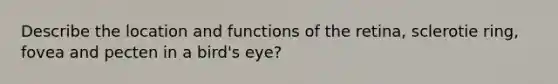 Describe the location and functions of the retina, sclerotie ring, fovea and pecten in a bird's eye?