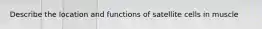 Describe the location and functions of satellite cells in muscle