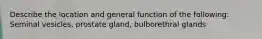 Describe the location and general function of the following: Seminal vesicles, prostate gland, bulborethral glands