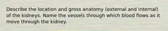 Describe the location and gross anatomy (external and internal) of the kidneys. Name the vessels through which blood flows as it move through the kidney.