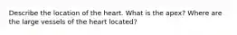 Describe the location of the heart. What is the apex? Where are the large vessels of the heart located?