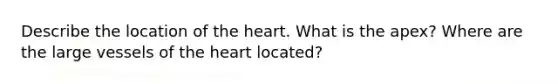 Describe the location of <a href='https://www.questionai.com/knowledge/kya8ocqc6o-the-heart' class='anchor-knowledge'>the heart</a>. What is the apex? Where are the large vessels of the heart located?