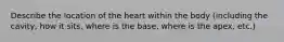 Describe the location of the heart within the body (including the cavity, how it sits, where is the base, where is the apex, etc.)