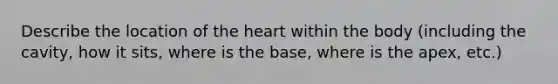 Describe the location of the heart within the body (including the cavity, how it sits, where is the base, where is the apex, etc.)