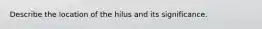 Describe the location of the hilus and its significance.