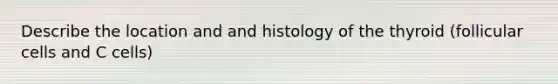 Describe the location and and histology of the thyroid (follicular cells and C cells)