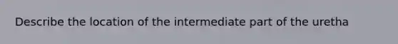 Describe the location of the intermediate part of the uretha