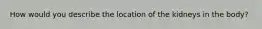 How would you describe the location of the kidneys in the body?