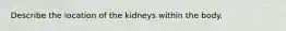 Describe the location of the kidneys within the body.