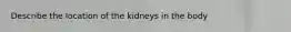 Describe the location of the kidneys in the body