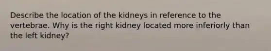 Describe the location of the kidneys in reference to the vertebrae. Why is the right kidney located more inferiorly than the left kidney?