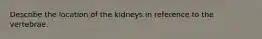 Describe the location of the kidneys in reference to the vertebrae.