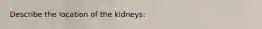 Describe the location of the kidneys: