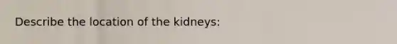 Describe the location of the kidneys: