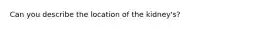 Can you describe the location of the kidney's?