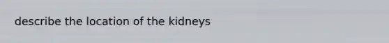 describe the location of the kidneys