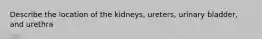 Describe the location of the kidneys, ureters, urinary bladder, and urethra