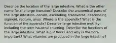 Describe the location of the large intestine. What is the other name for the large intestine? Describe the anatomical parts of the large intestine- cecum, ascending, transverse, descending, sigmoid, rectum, anus. Where is the appendix? What is the function of the appendix? Describe large intestine motility- including the term haustral churning. Describe the functions of the large intestine. What is gut flora? And why is the flora important? What vitamins are produced in the large intestine?