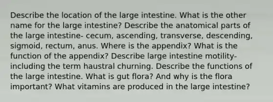 Describe the location of the large intestine. What is the other name for the large intestine? Describe the anatomical parts of the large intestine- cecum, ascending, transverse, descending, sigmoid, rectum, anus. Where is the appendix? What is the function of the appendix? Describe large intestine motility- including the term haustral churning. Describe the functions of the large intestine. What is gut flora? And why is the flora important? What vitamins are produced in the large intestine?