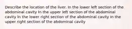 Describe the location of the liver. In the lower left section of the abdominal cavity In the upper left section of the abdominal cavity In the lower right section of the abdominal cavity In the upper right section of the abdominal cavity