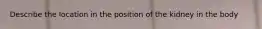 Describe the location in the position of the kidney in the body