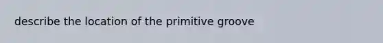 describe the location of the primitive groove