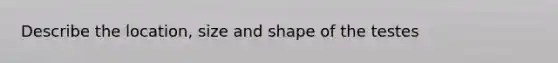 Describe the location, size and shape of the testes