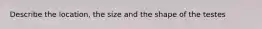 Describe the location, the size and the shape of the testes