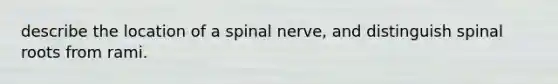 describe the location of a spinal nerve, and distinguish spinal roots from rami.