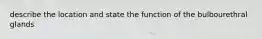 describe the location and state the function of the bulbourethral glands