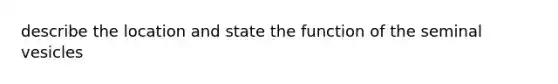 describe the location and state the function of the seminal vesicles