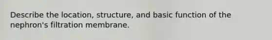 Describe the location, structure, and basic function of the nephron's filtration membrane.