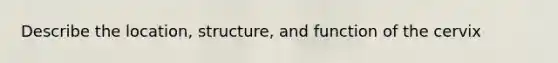 Describe the location, structure, and function of the cervix