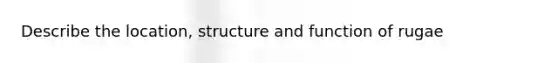 Describe the location, structure and function of rugae