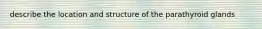 describe the location and structure of the parathyroid glands