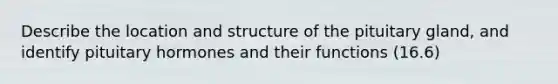 Describe the location and structure of the pituitary gland, and identify pituitary hormones and their functions (16.6)