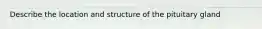 Describe the location and structure of the pituitary gland