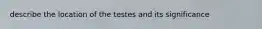 describe the location of the testes and its significance