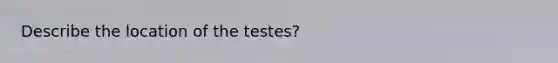 Describe the location of the testes?