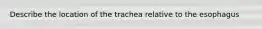 Describe the location of the trachea relative to the esophagus