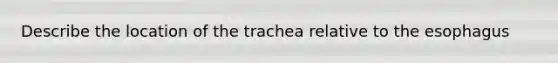 Describe the location of the trachea relative to the esophagus