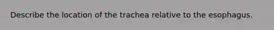 Describe the location of the trachea relative to the esophagus.