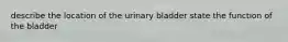 describe the location of the urinary bladder state the function of the bladder