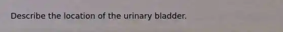 Describe the location of the urinary bladder.