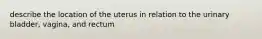 describe the location of the uterus in relation to the urinary bladder, vagina, and rectum