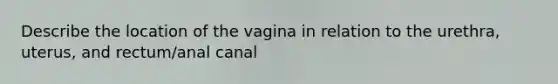 Describe the location of the vagina in relation to the urethra, uterus, and rectum/anal canal