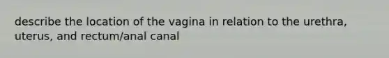 describe the location of the vagina in relation to the urethra, uterus, and rectum/anal canal