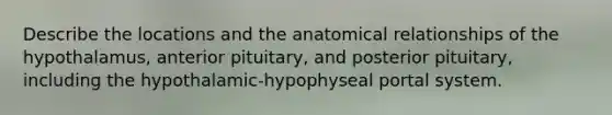 Describe the locations and the anatomical relationships of the hypothalamus, anterior pituitary, and posterior pituitary, including the hypothalamic-hypophyseal portal system.