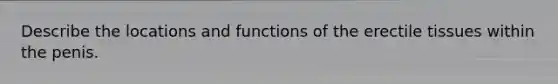 Describe the locations and functions of the erectile tissues within the penis.