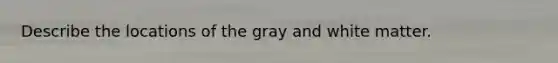 Describe the locations of the gray and white matter.